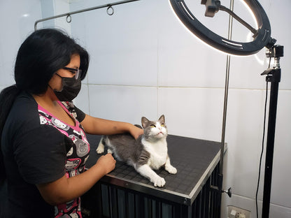 Baño & Corte de pelo