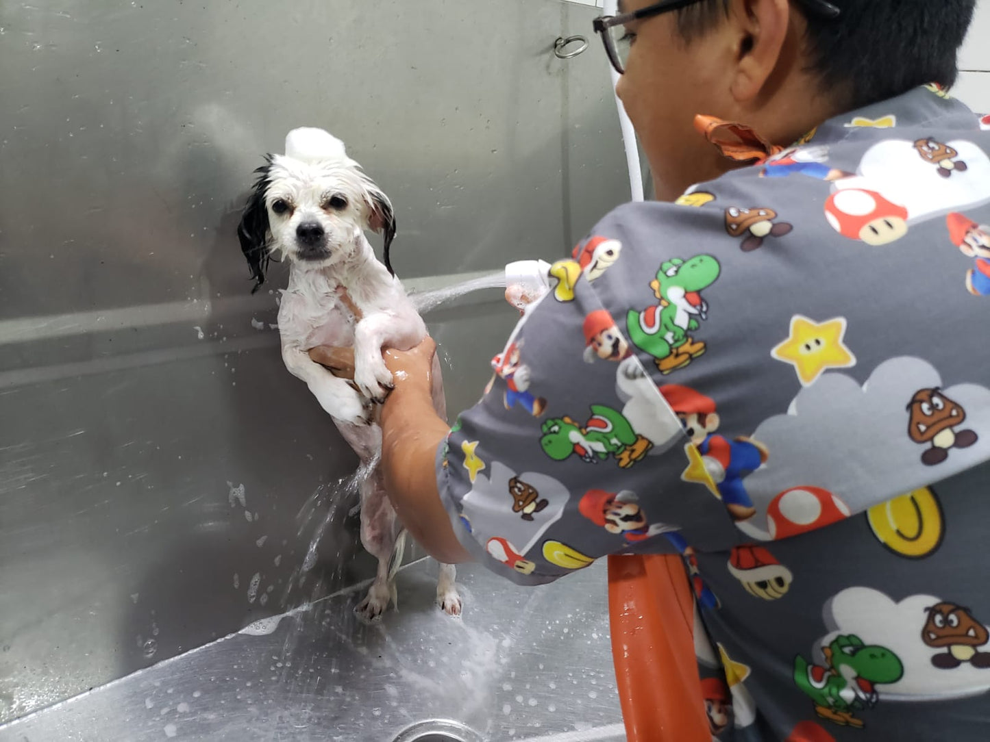 Baño & Corte de pelo